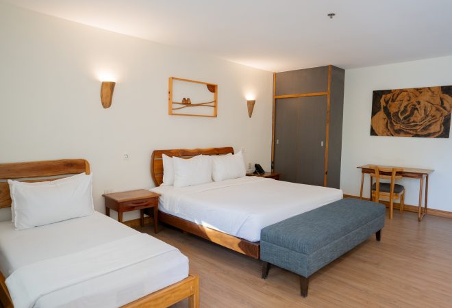 Premier Loft Lower Floor